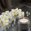 Sunkissed Bloom Classic Candle 130g