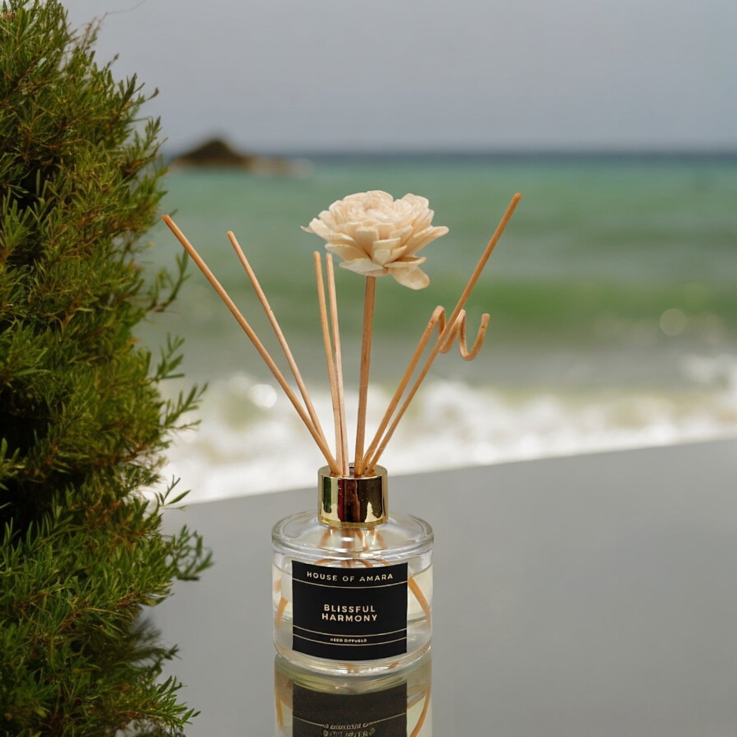 Blissful Harmony Reed Diffuser Secondary image